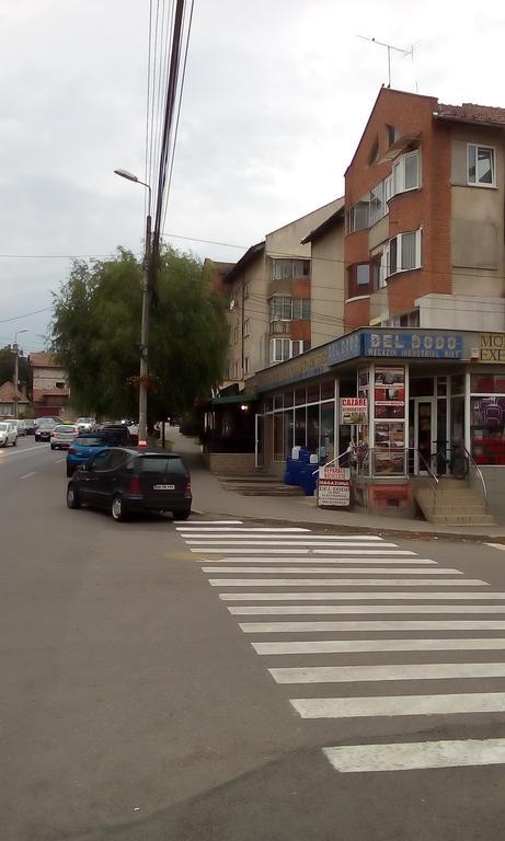 Appartement Garsoniera Del Dodo à Alba Iulia Extérieur photo